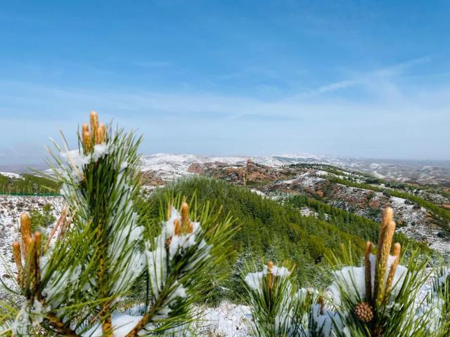 下雪啦 五月初夏 一起到火石寨去看雪 热备资讯