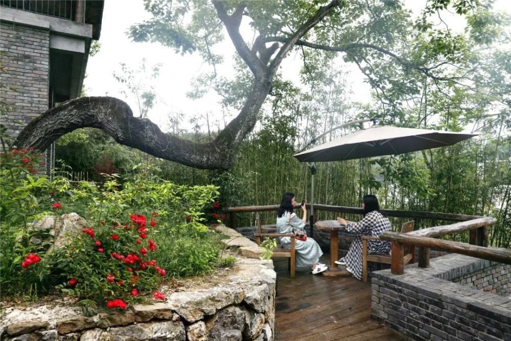 盛夏到梁平这些宝藏避暑民宿枕清凉山风入眠