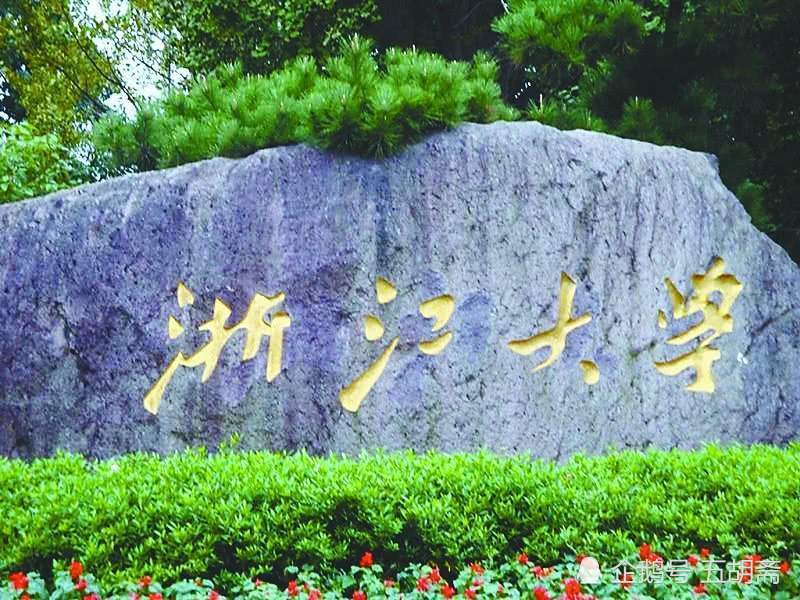 苏州大学2020qs世界排行_家长们看过来!苏州各学校2020招生开始啦,涉及小学