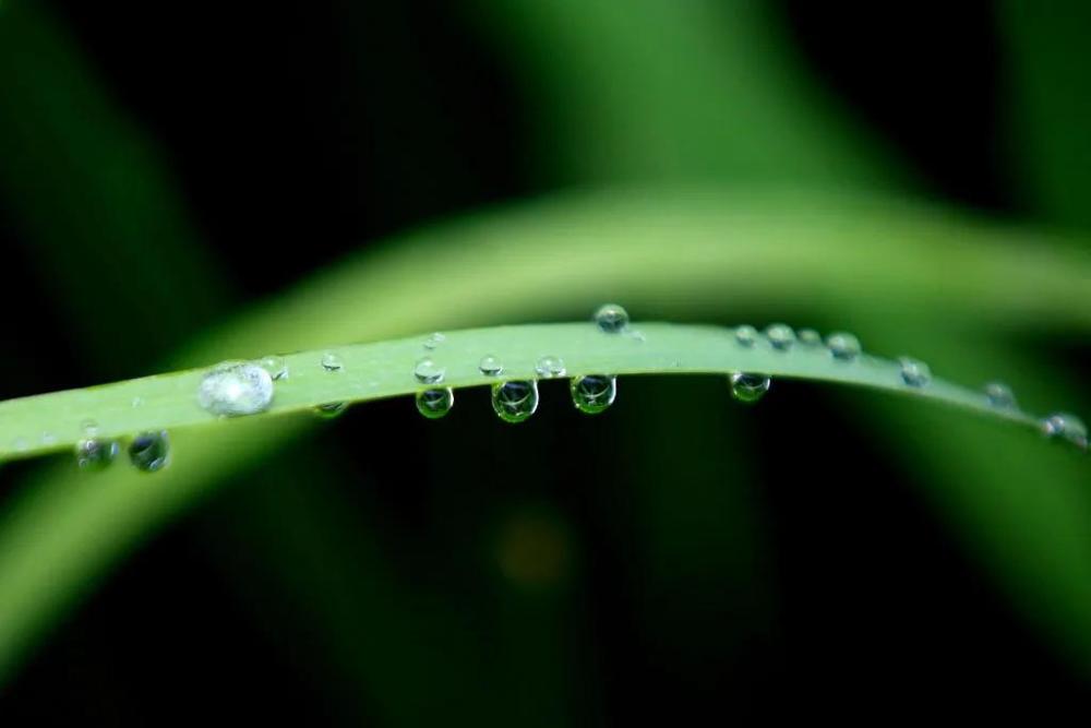 早稻|梦想和夏天，总有一个值得大汗淋漓