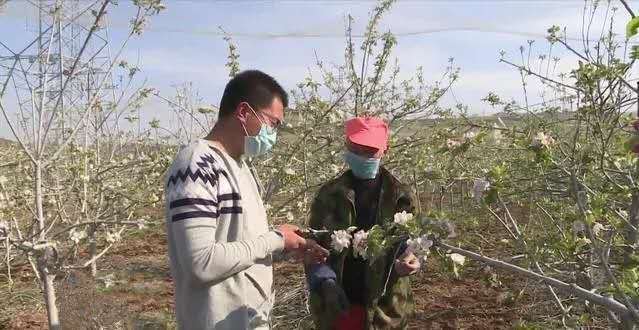 泰安乡村创业青年群体扎根乡村沃土绽放最美青春