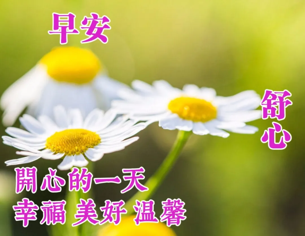 微信早上好经典问候祝福语句子 清晨漂亮的美女图片早安祝福语