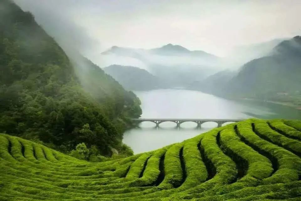 乡约婺城共享白沙溪的美丽与乡愁