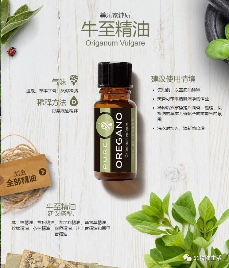 天然抗生素牛至精油对抗病原体细菌真菌病毒寄生虫的功效非常显著