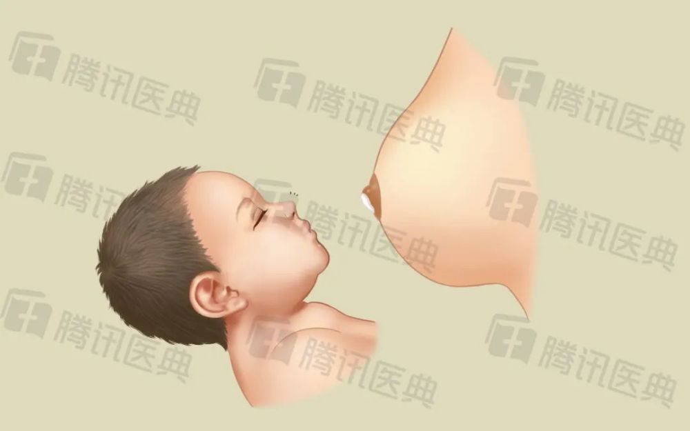 "触碰":轻轻地用乳头刺激,逗弄宝宝的口周.3.