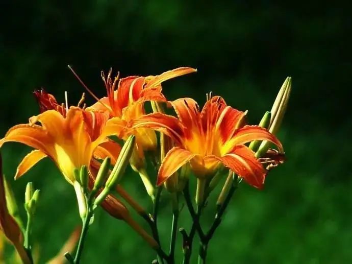 是不是我们不长大,你们就不会变老?