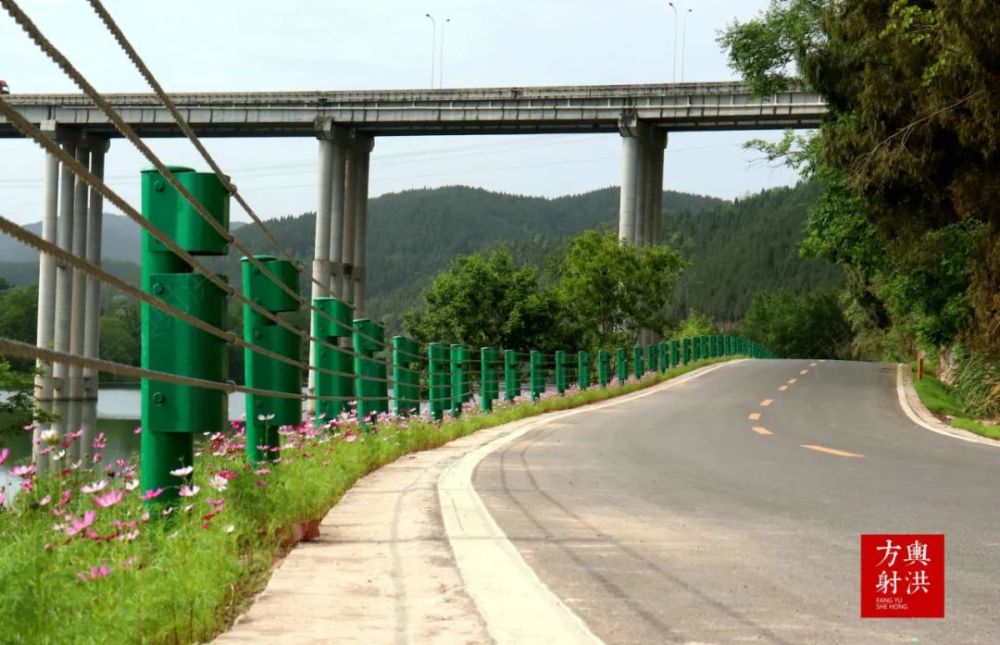 射洪最美公路鲜花盛开快去打卡