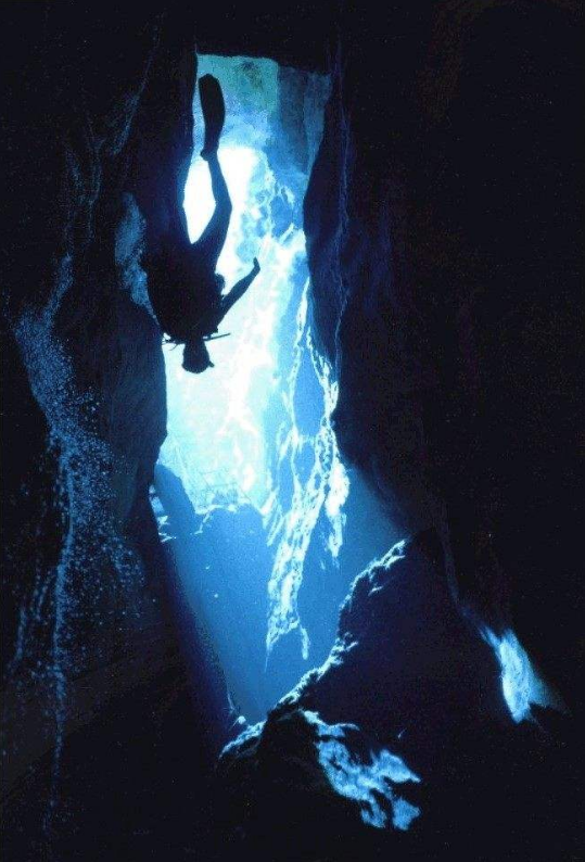 在魔鬼洞中藏了6万年才被发现,这种鱼只剩35条,它实在神奇了