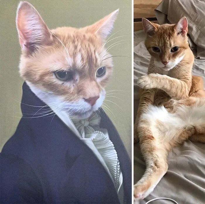 像极了对猫献殷勤的我06喵君上上周才发了模仿这画的猫这一幅画应该