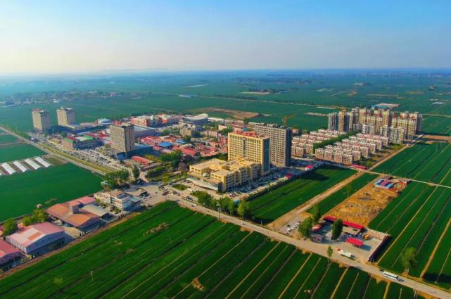 建设中的大午城