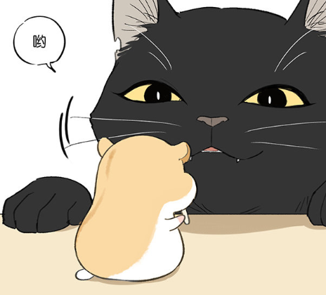 爆笑:霸气黑猫总对小仓鼠阴魂不散,眼神都充满宠溺,傲娇小仓鼠骂完就