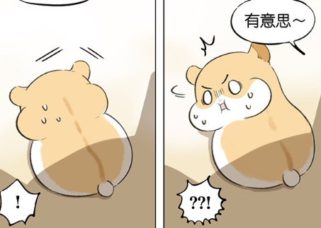 爆笑漫画:黑猫总对小仓鼠阴魂不散,眼神都充满宠溺,傲娇小仓鼠骂完就