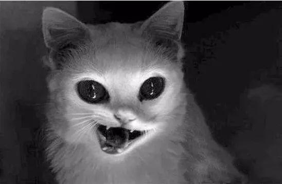 时隔两年他从地狱来复更纯洁滴小龙双开收费惹争议