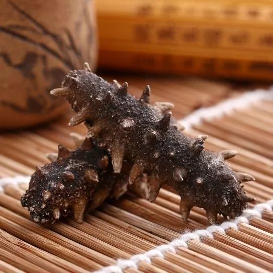 干海参的保质期是多久?