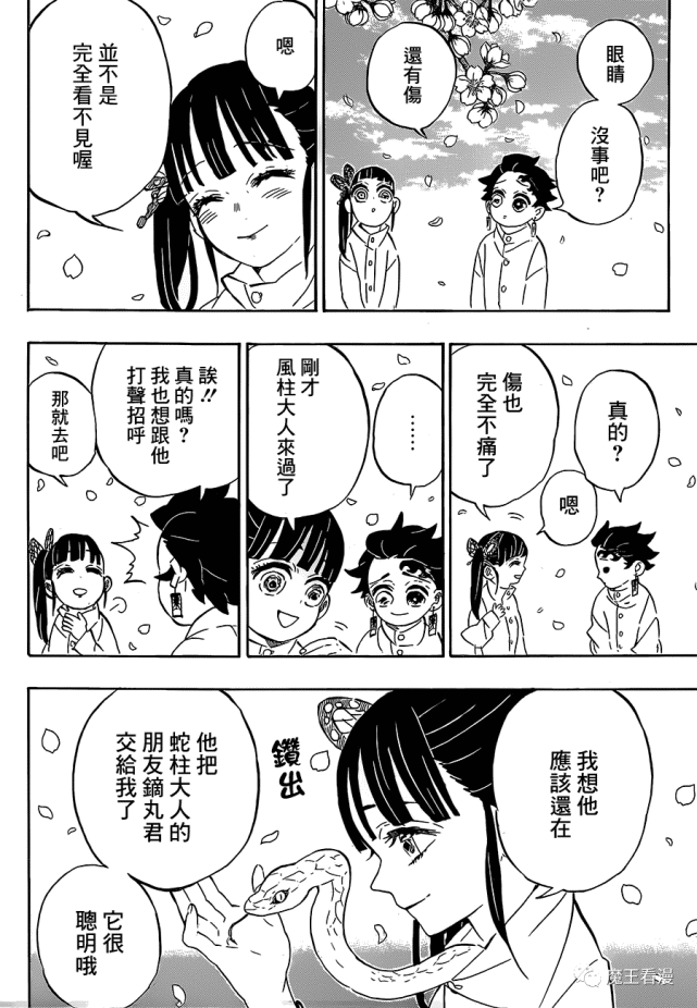 鬼灭之刃漫画—204中文版:没有恶鬼的世界