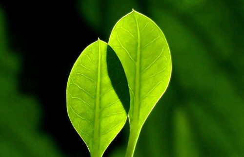 文理科均可兼报 这些专业的性价比不错 看看有没你喜欢的 腾讯新闻