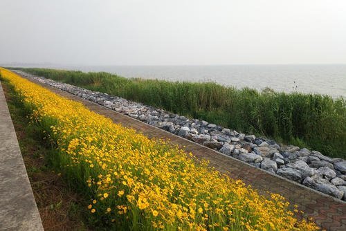 珠湖大堤图片