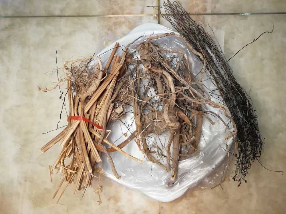 过饥草筒骨小肠汤妈妈的药膳小时候的味道