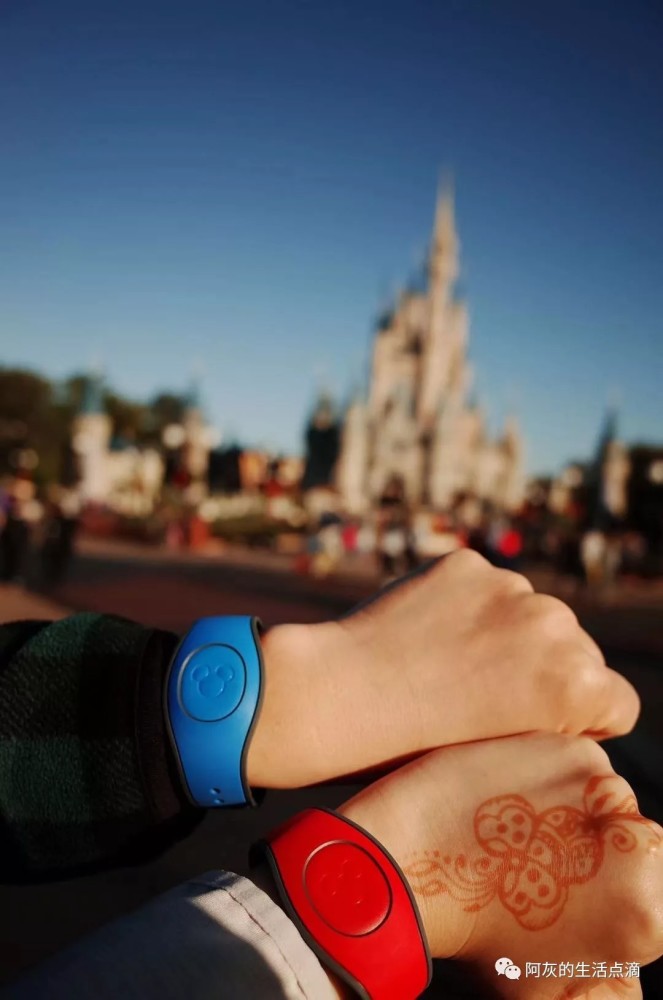 迪士尼的魔法手环(magic band.