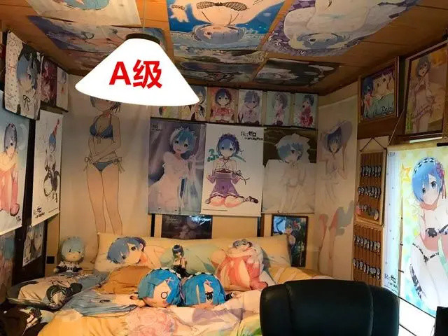 手办一面墙,北京一套房,让我们看看那些a到ss级的收藏