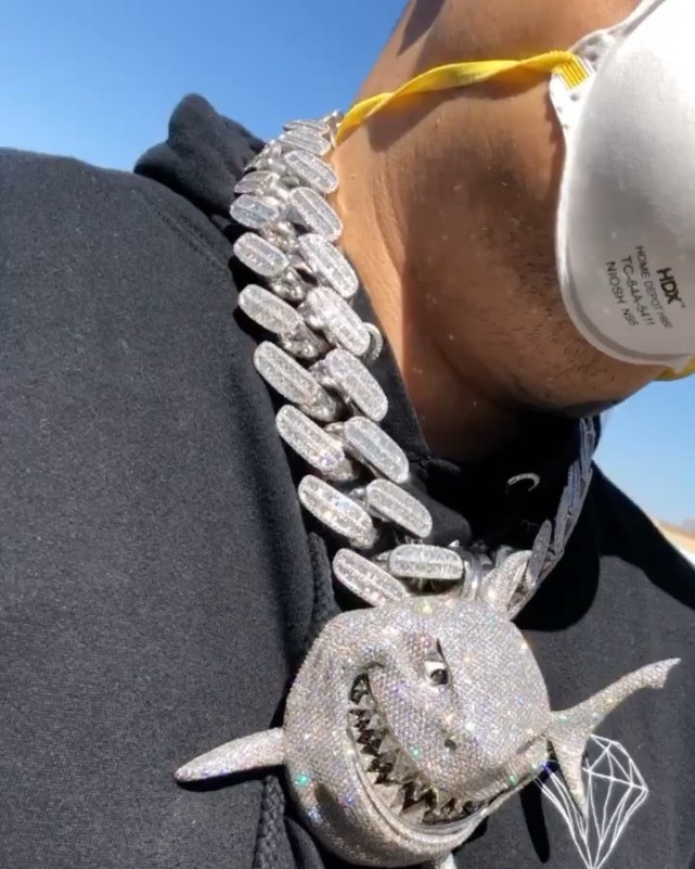 据悉这条鲨鱼加上项链,一共镶嵌了300万颗