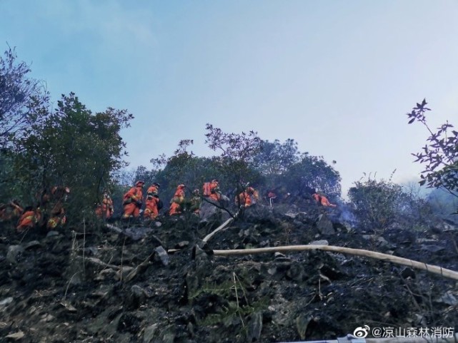 7日17時,涼山州喜德縣與冕寧縣交界處發生森林火災,火場林火類型以