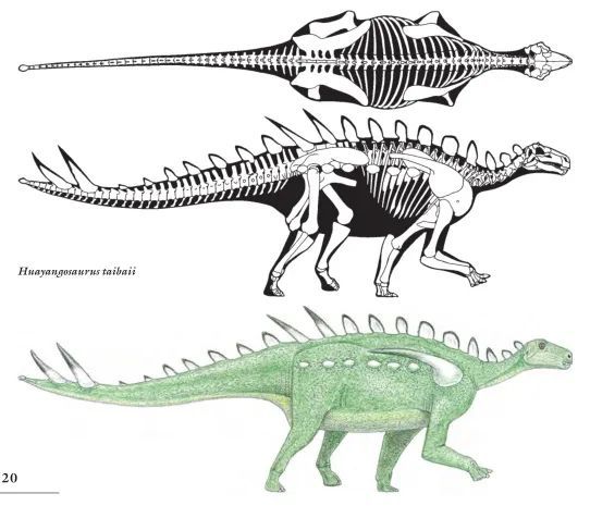 华阳龙最早的龙中剑客