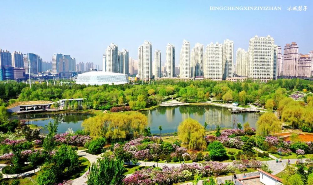 此组图片全部摄于2020年5月10日哈尔滨群力丁香花园哈尔滨丁香花赏花