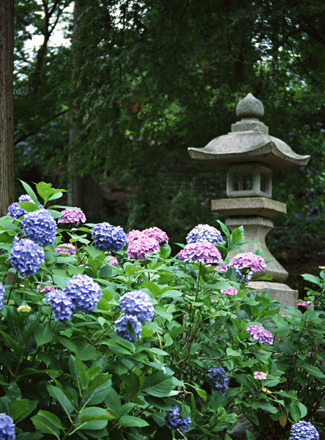 用一个路口致青春 灌篮高手取景地镰仓 附自由行攻略 腾讯新闻