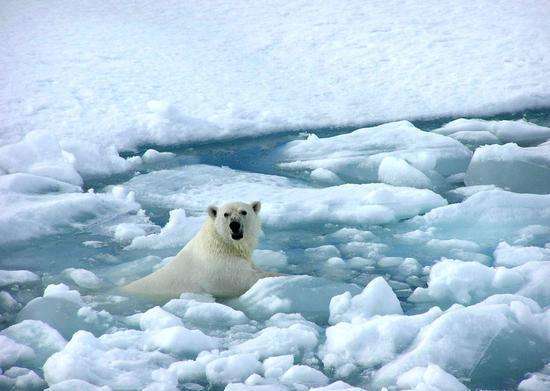 地球|地球可以没有人类，而人类不能没有地球！