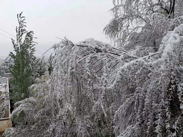 文学上经常出现夏天下雪 到底什么原因 腾讯新闻
