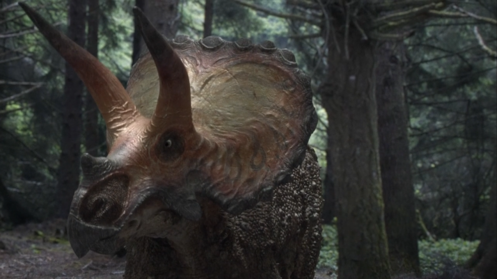 三角龙的这些冷知识你肯定不知道