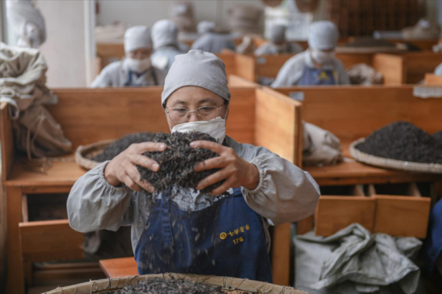 七彩雲南:與茶農共渡難關-茗邊智庫