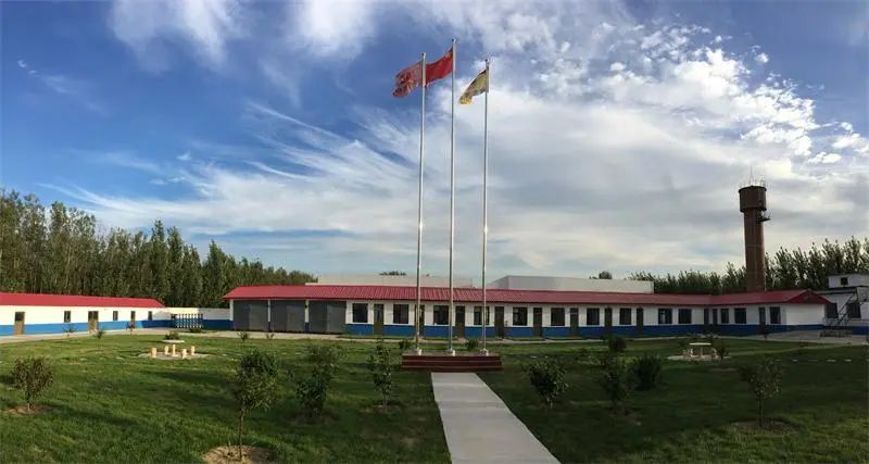 益生股份引进曾祖代未导致祖代鸡更新数量发生重大变化