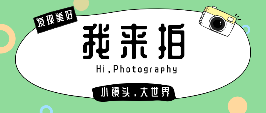 仙八色鸫|秋高气爽，正是观鸟好时节！