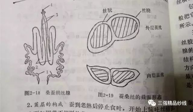 真丝,绢丝,桑蚕丝和柞蚕丝的分辨和应用