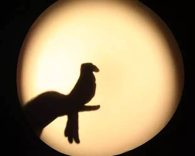 禅诗欣赏手影戏