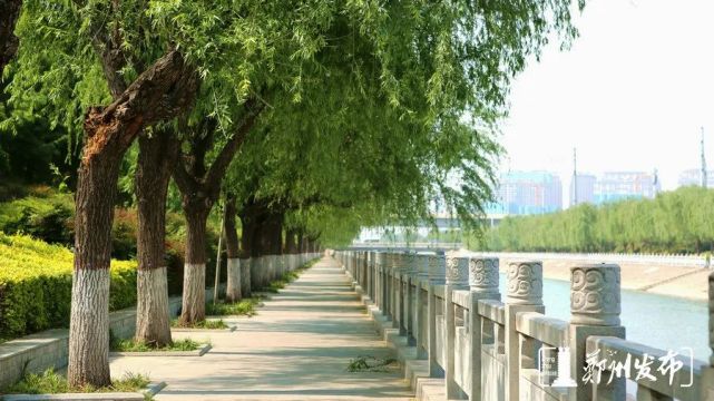 东风渠畔这条铁轨 成著名爱情打卡地|滨河公园|火车|东风渠|郑州