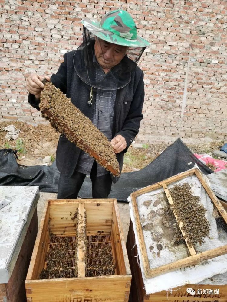 10年时间具茨山这个人从贫困户到养蜂大户