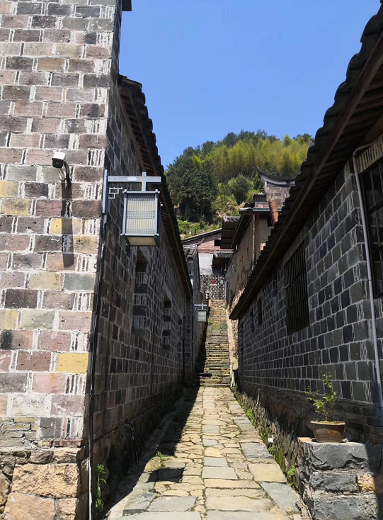 福安南岩村成为全省首个乡村振兴实践与协同创新基地试点村