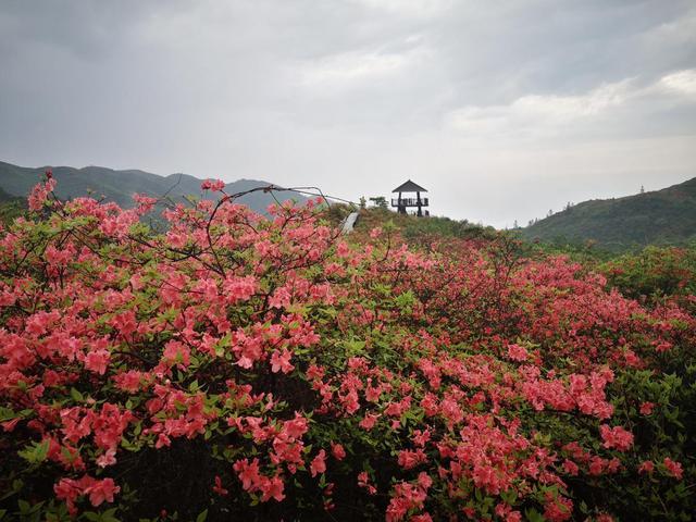 很安逸的一次,沒有很趕,感覺是真的來休閒旅遊的,而不是來