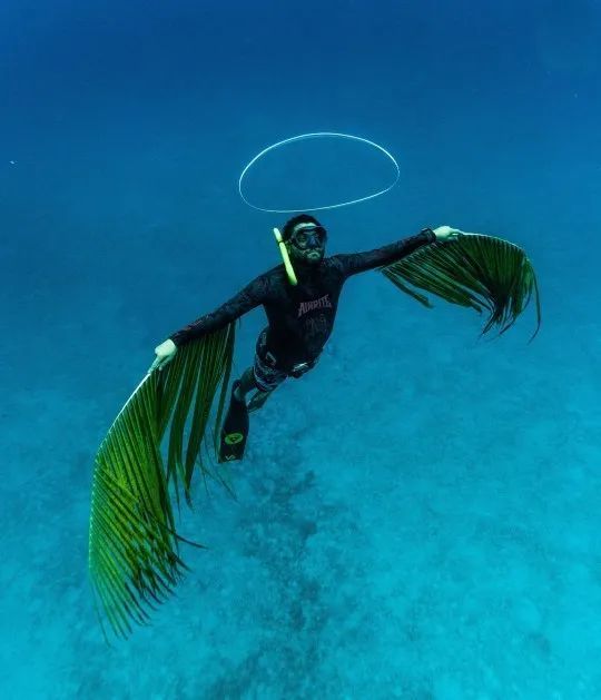 这个操作厉害了!英潜水摄影师在海底拍出惊艳大片