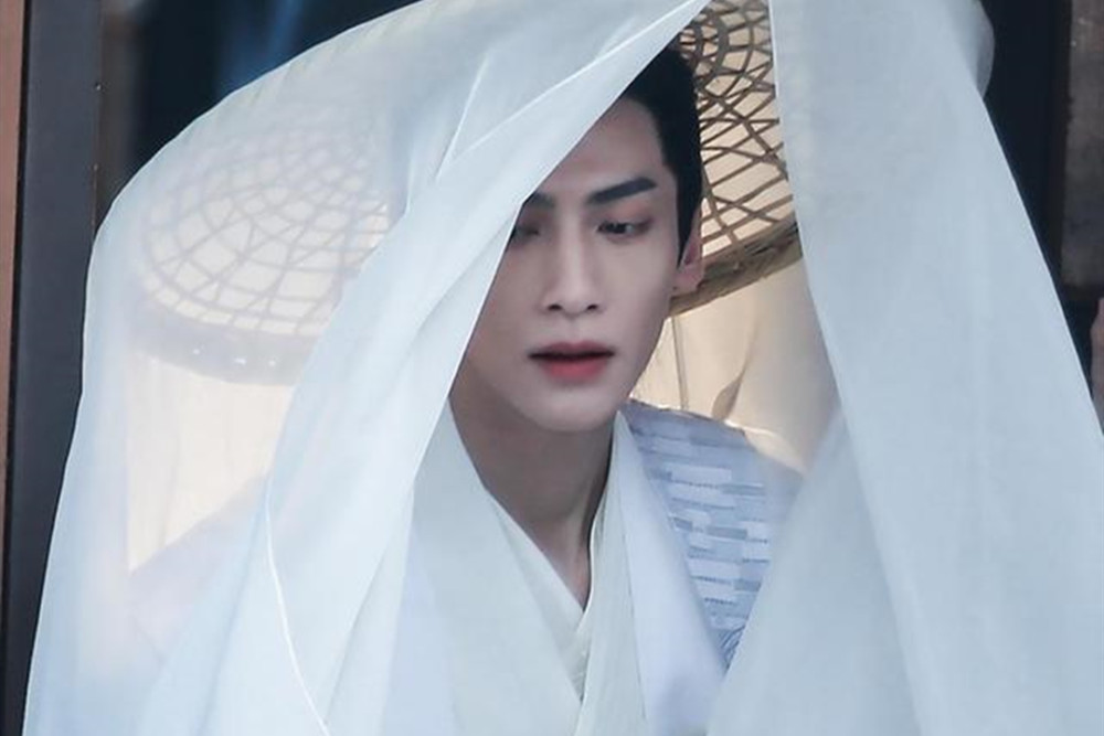 二哈与他的白猫师尊|饭圈风气给原耽作者带来了什么？《二哈》作者肉包怒怼黑子后退网