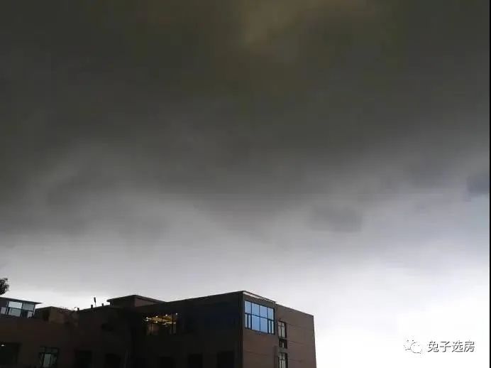 黑雨虐城 11级狂风 吹乱发际线 你还上班返学 腾讯新闻