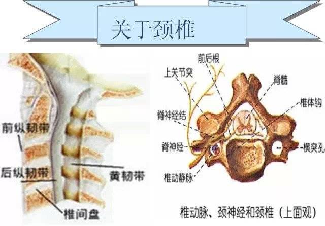 這樣熱敷配一個藥方巧治頸椎頑疾,值得一試!