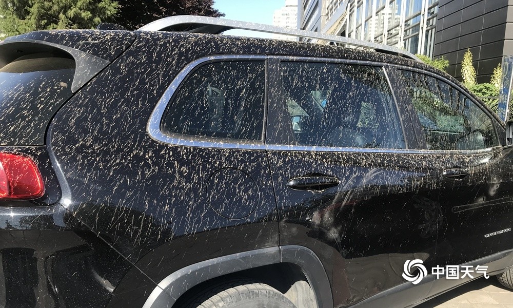 北京昨夜遭遇泥雨洗礼今晨遍地泥点子
