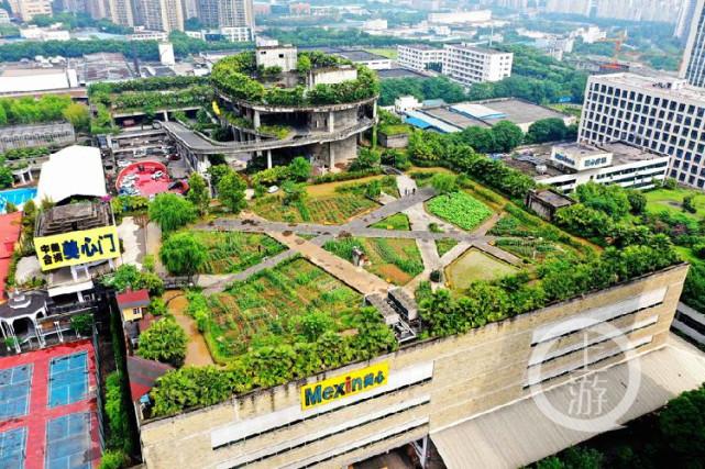 2万平米屋顶开心农场市民可免费预约观赏