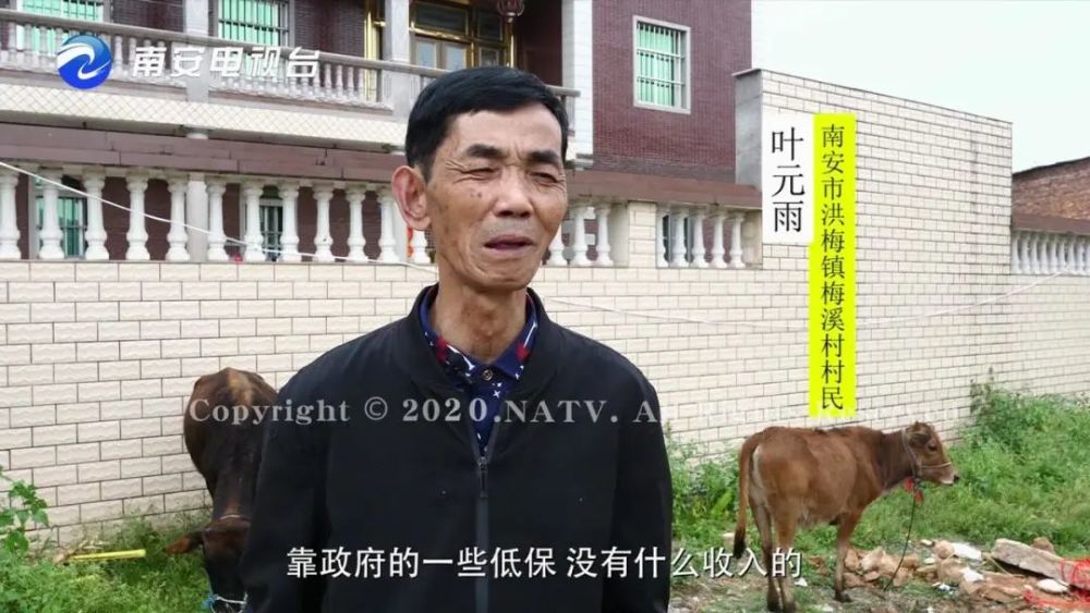 种下"扶贫树" 结出"扶贫果"!记者走进洪梅梅溪村
