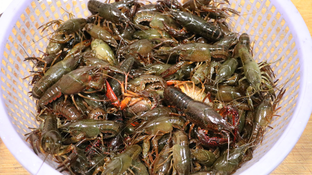 龙虾最过瘾的做法,4斤龙虾加2罐啤酒,虾肉鲜嫩,出锅就被吃光了