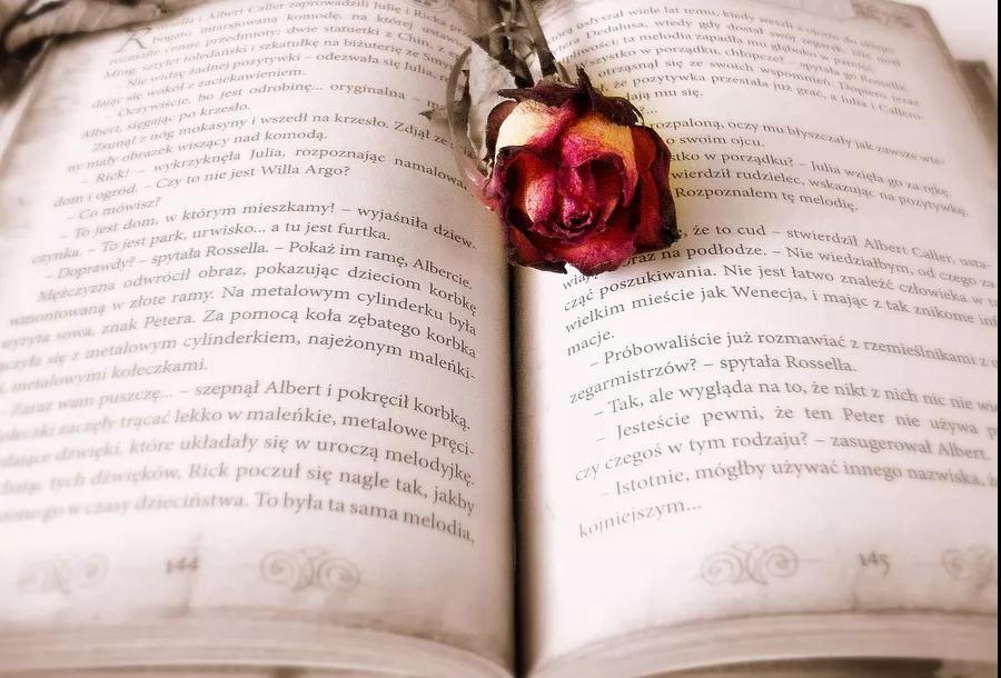 Igcse英语语言vs英语文学 腾讯新闻